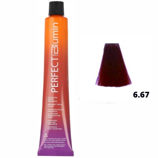 BLUMIN-COLOR 100ML N? 6.67  12180667