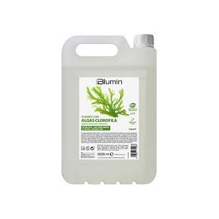 12075183 BLUMIN-CHAMPU ALGAS CLOROFILA 5 L ШАМПОАН С АЛГИ И ХЛОРОФИЛ